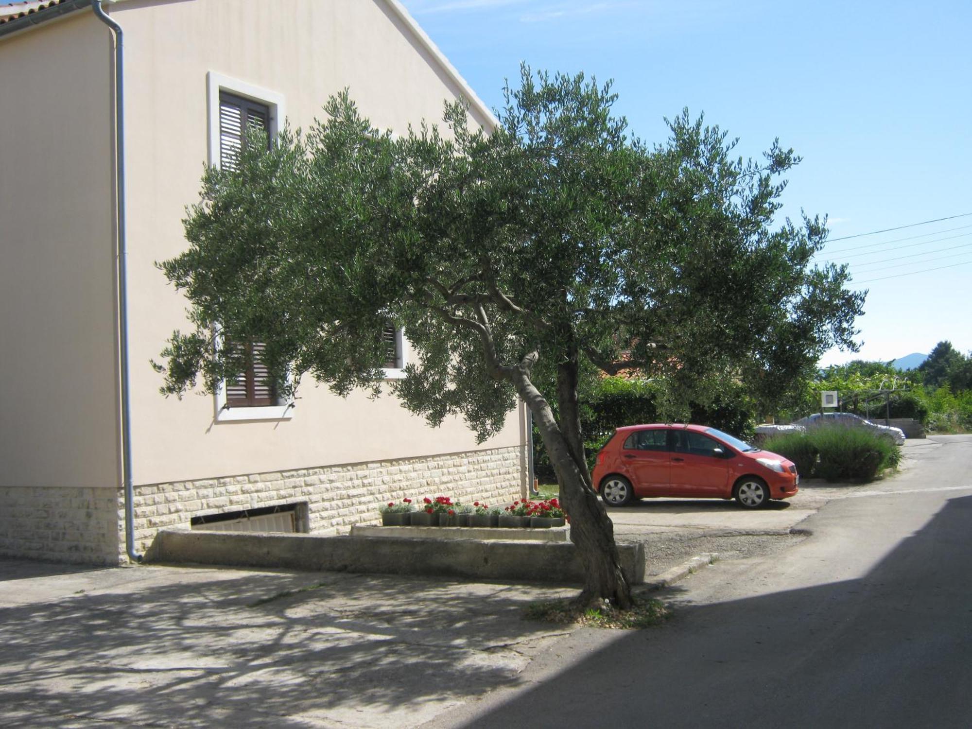 Appartement Blanka